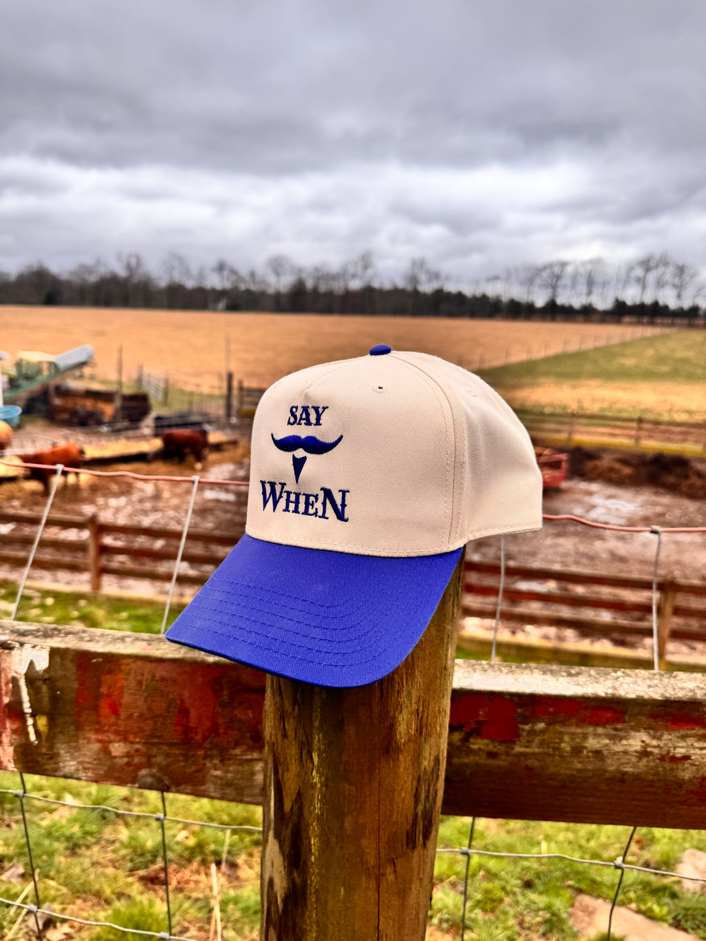 beige and blue snapchat hat with matching blue 'SAY WHEN' text hanging on a fence pole